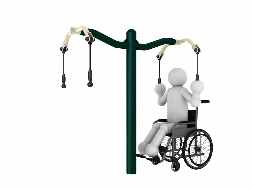 Arm Extension Apparatus